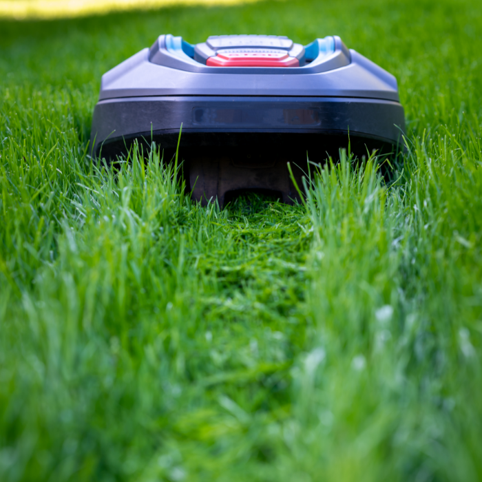 A robot lawn mower in action