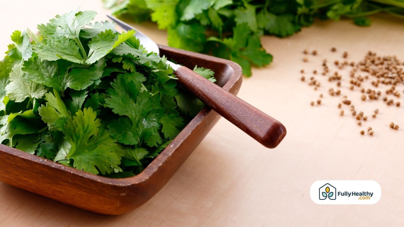 Fresh cilantro leaves with coriander seeds and a wooden knife