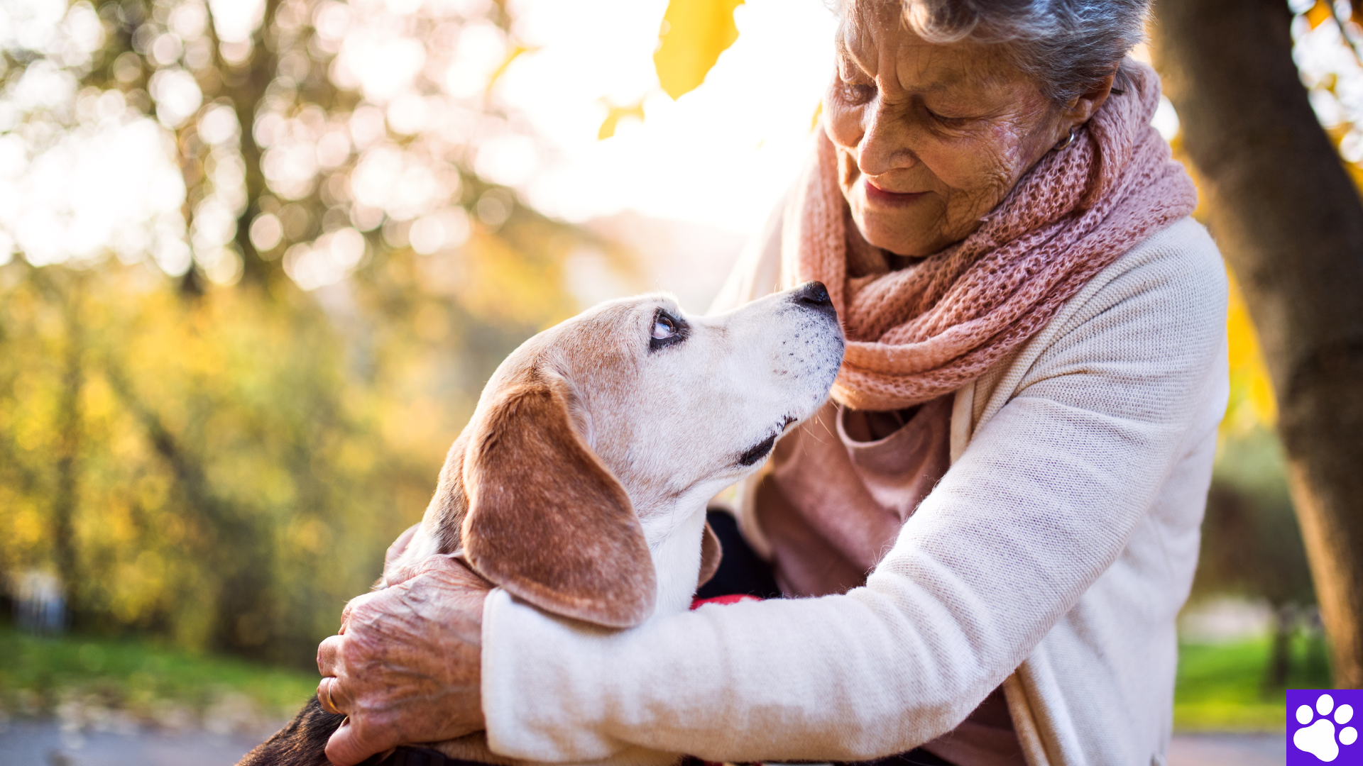 elderly woman with a senior dog