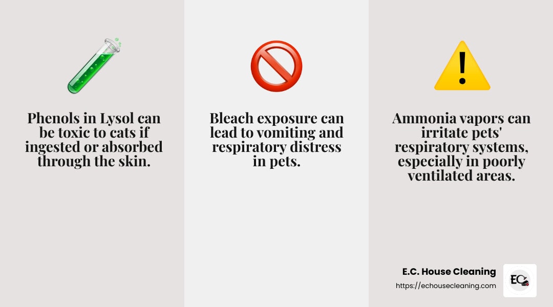 Phenols can be hazardous to pets, especially cats 