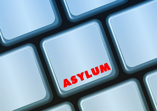 Seek asylum