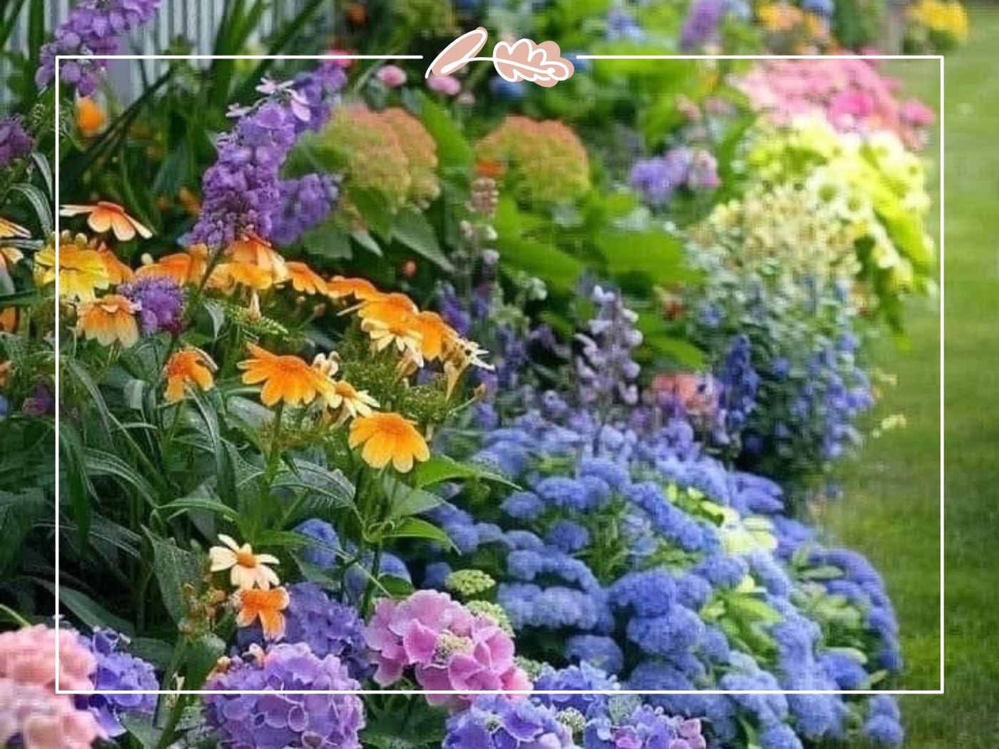Layered summer garden with delphiniums, hydrangeas, and daisies – Top 50 Flower Species blog by Fabulous Flowers & Gifts.
