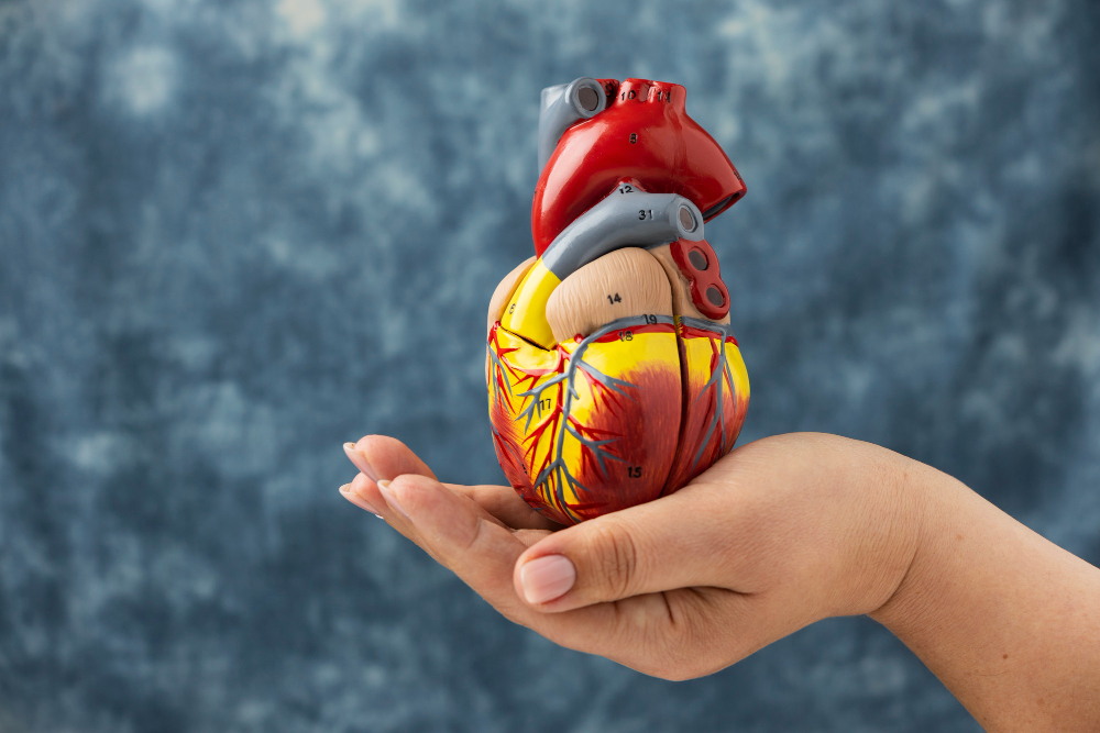 A cúrcuma melhora a saúde cardiovascular. Fonte da imagem: freepik.