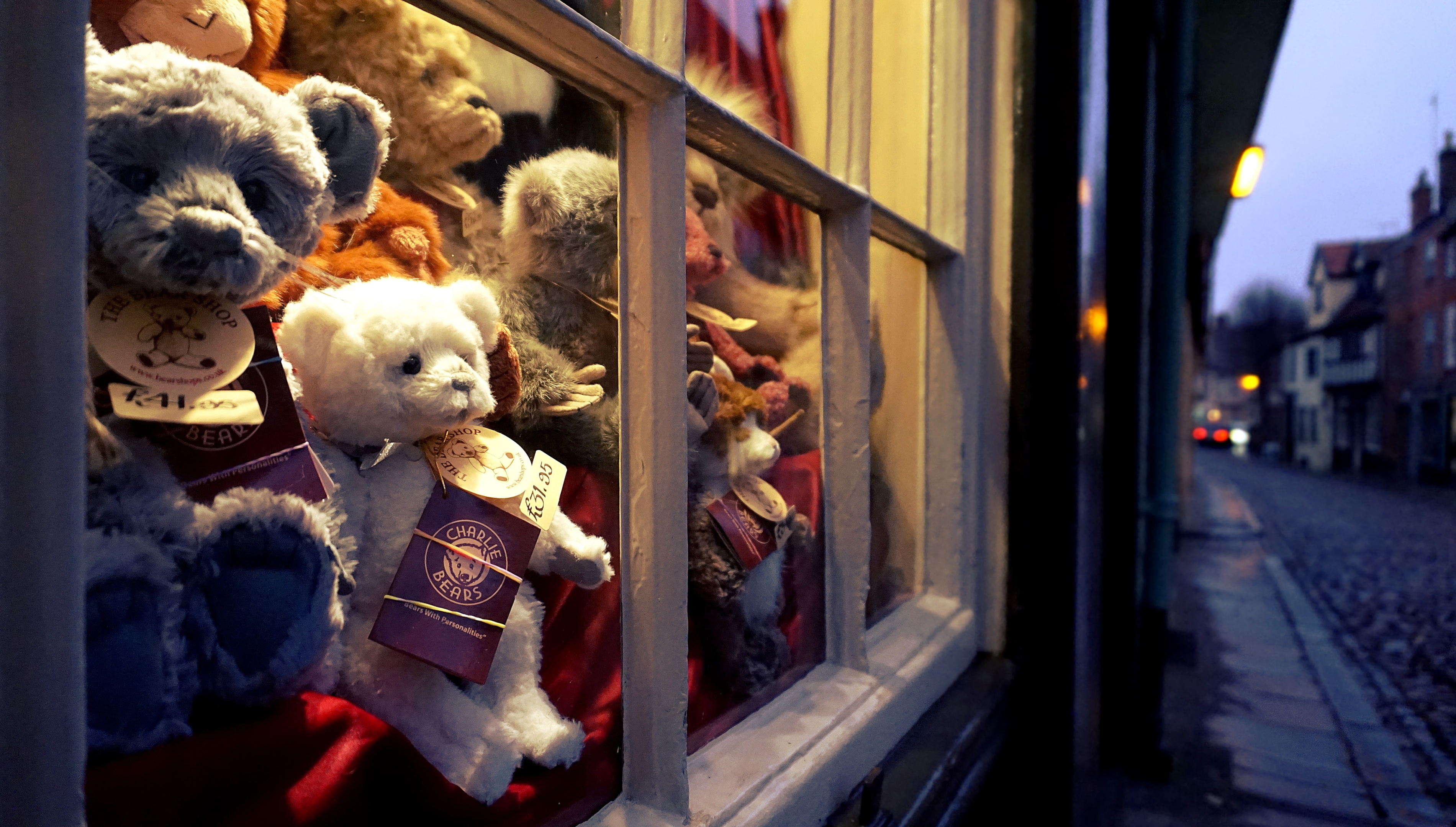 Teddy Bears in Store Window