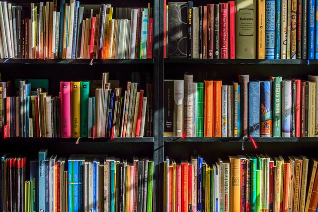 Bookshelves filled with a variety of colorful books, showcasing diverse genres and titles, reflecting the educational resources available at the Trenton Free Public Library.
