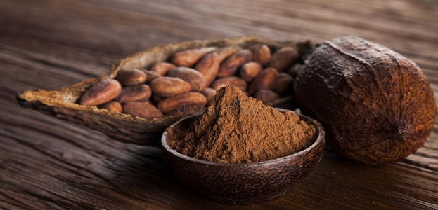 cocoa powder