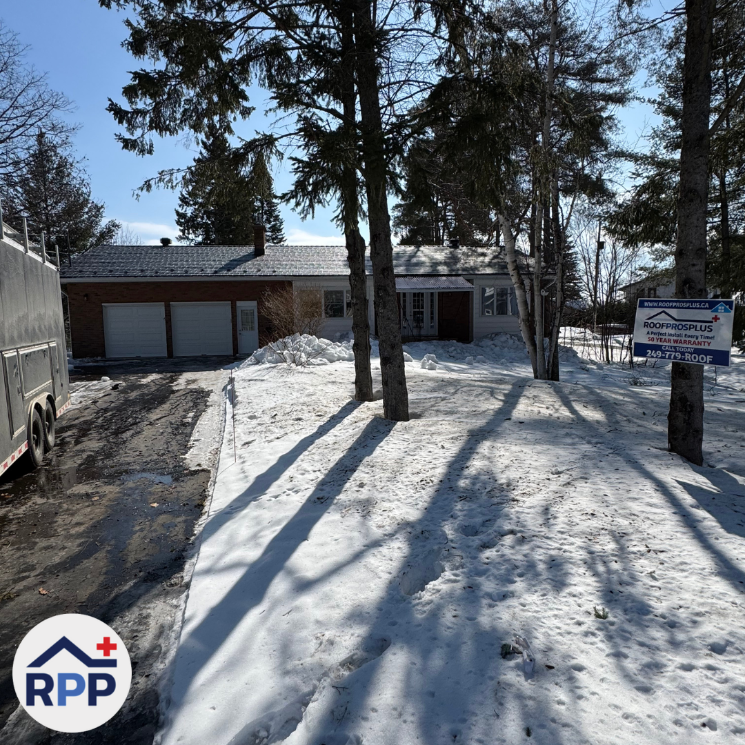 A snow-covered suburban house with metal roofing, surrounded by tall trees casting long shadows in the front yard. A "Roof Pros Plus" sign is visible on the right.