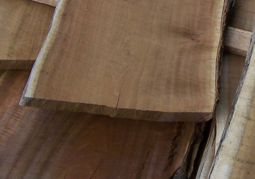 acacia wood