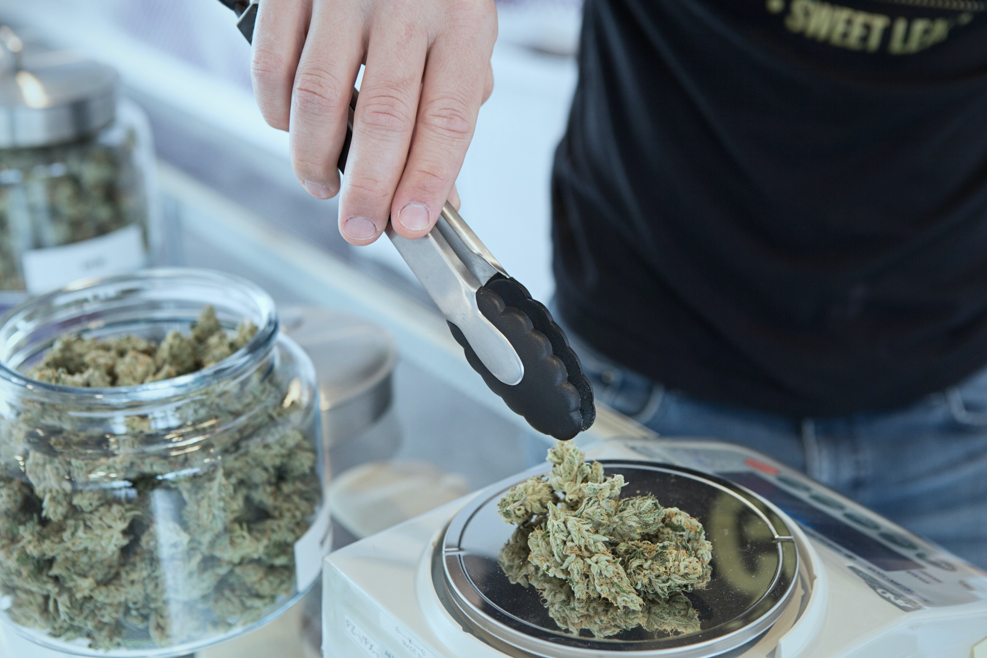 dispensary employees weighing marijuana/cannabis for a patient care| patient experience with cannabis plant