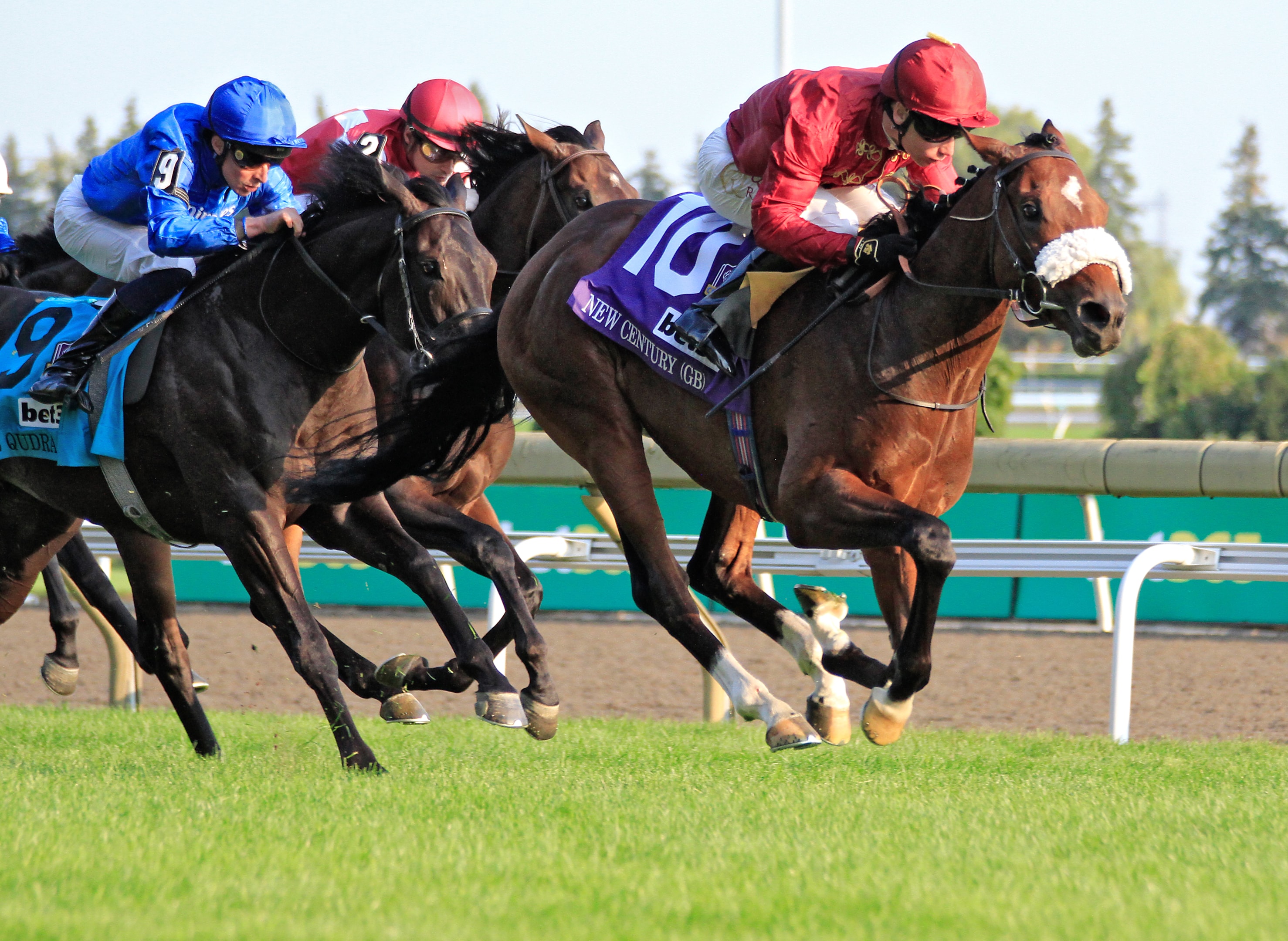 Jockey Oisin Murphy rides New Century to a win in the bet365 Summer Stakes (Grade I) at Woodbine Racetrack in Toronto, Canada, on September 14, 2024.