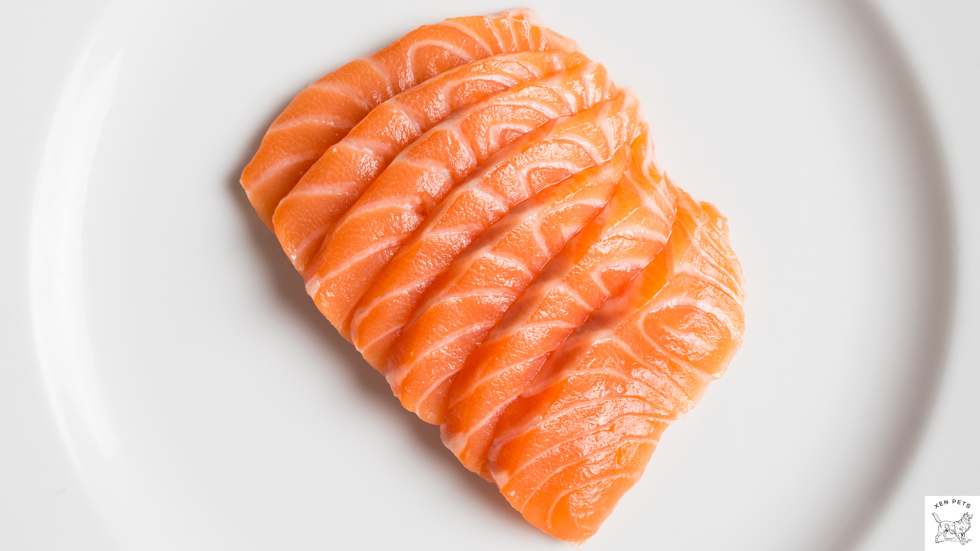 salmon contains omega fatty acids