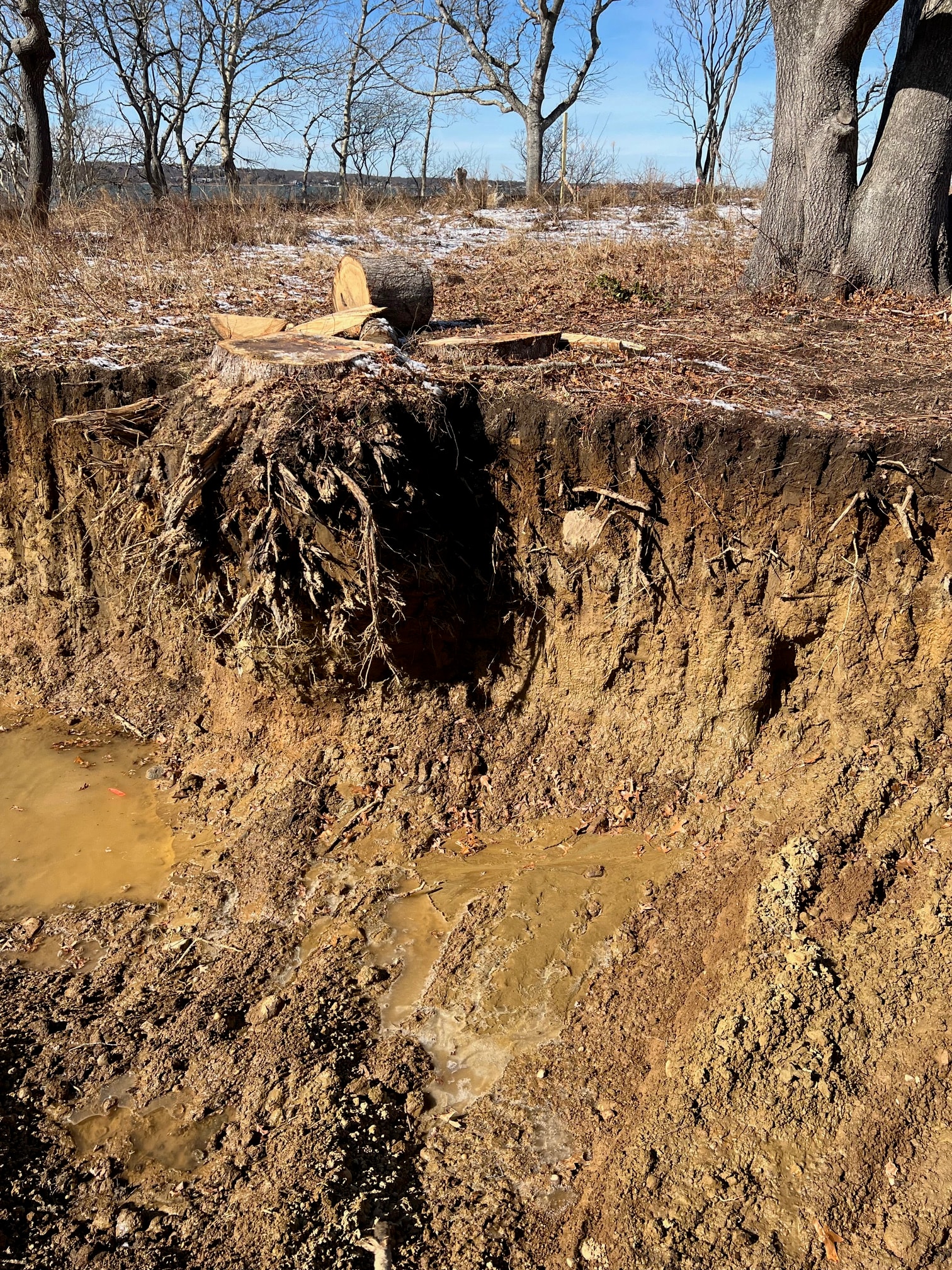 poor bearing soil muck