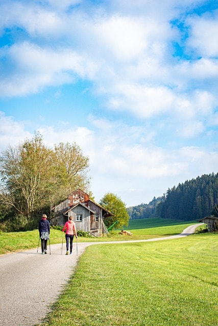 nordic walking, sports, fitness
