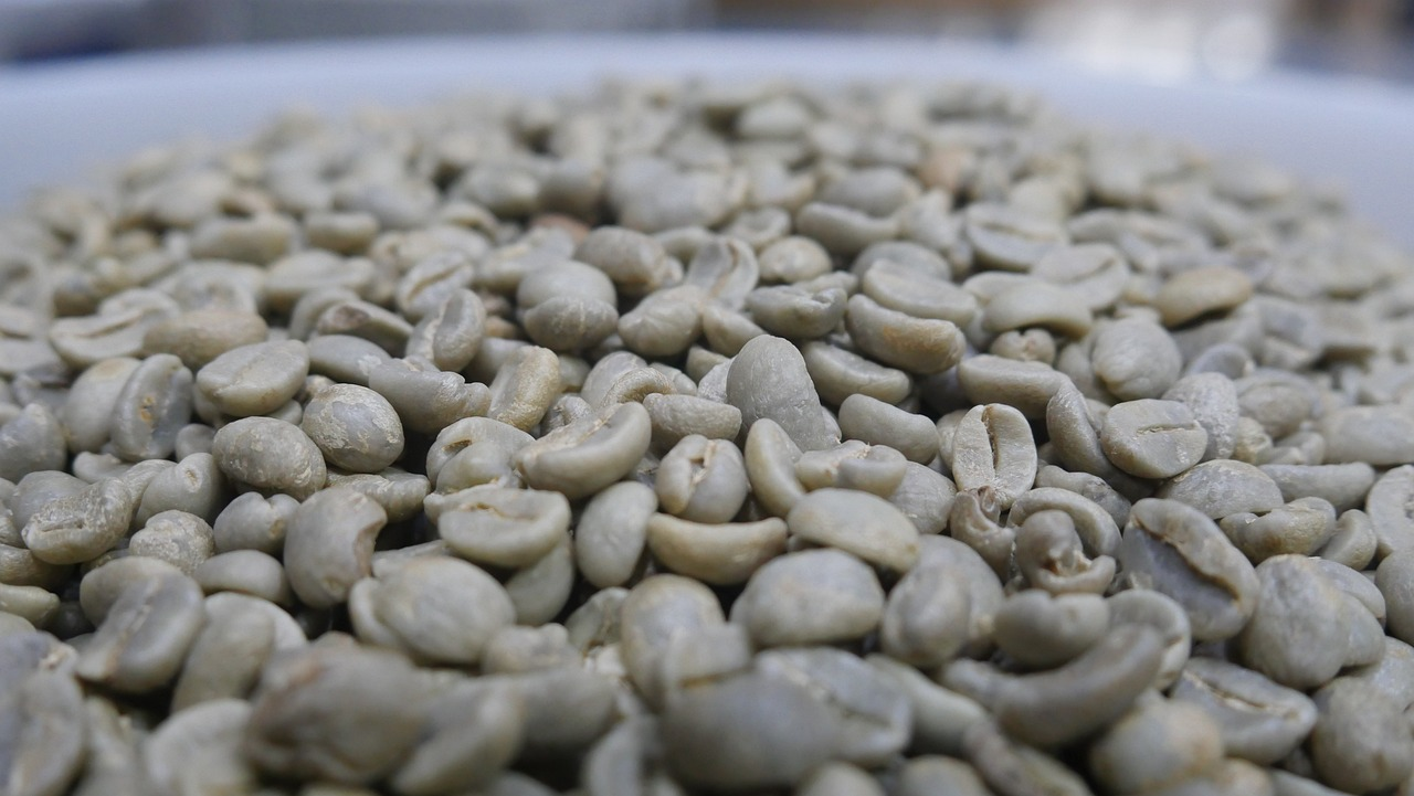 strictly hard bean green coffee beans