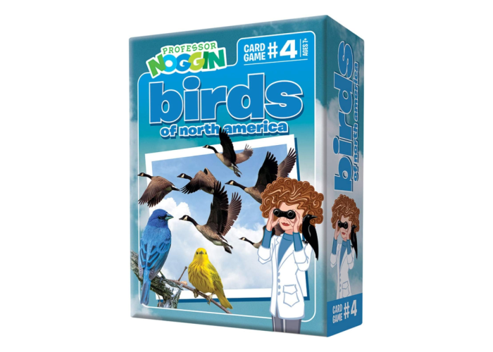 card games about birds