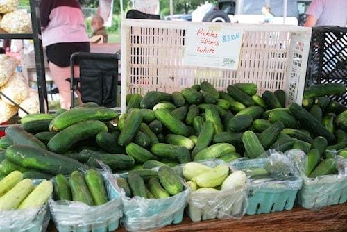 Things To Do In The Litchfield Hills Ct: Top 23 Most Unique Spots 13 Cucumbers for sale at a local farmers market near the town of Litchfield, Connecticut