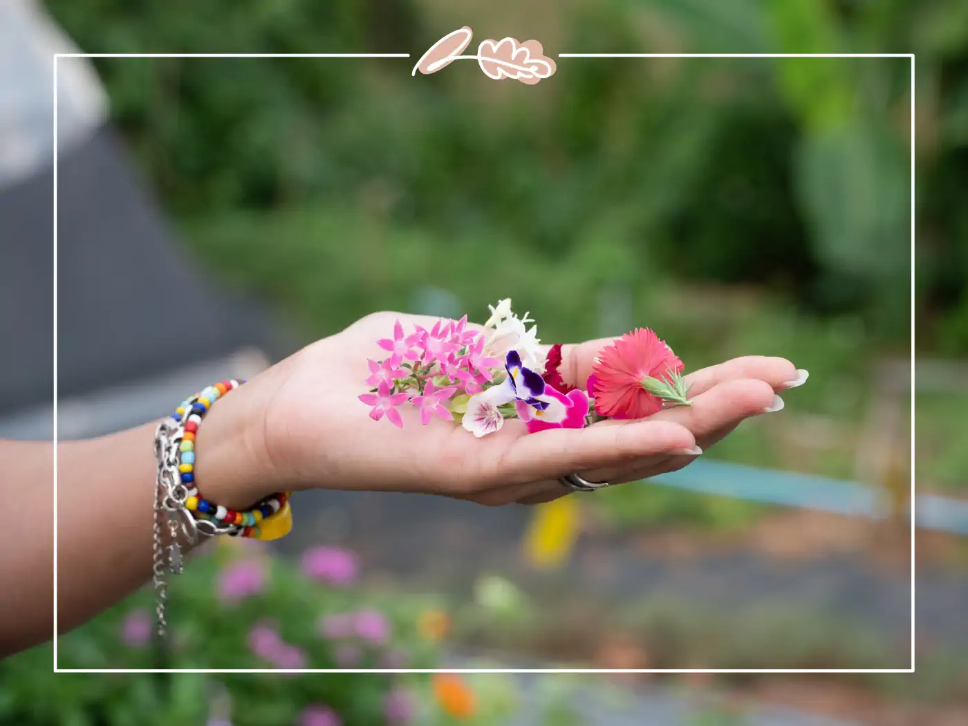 Hand holding a variety of small colorful edible flowers. Fabulous Flowers and Gifts.