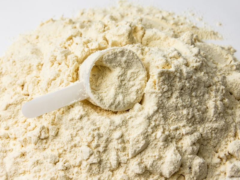 A scoop of whey isolate protein powder.