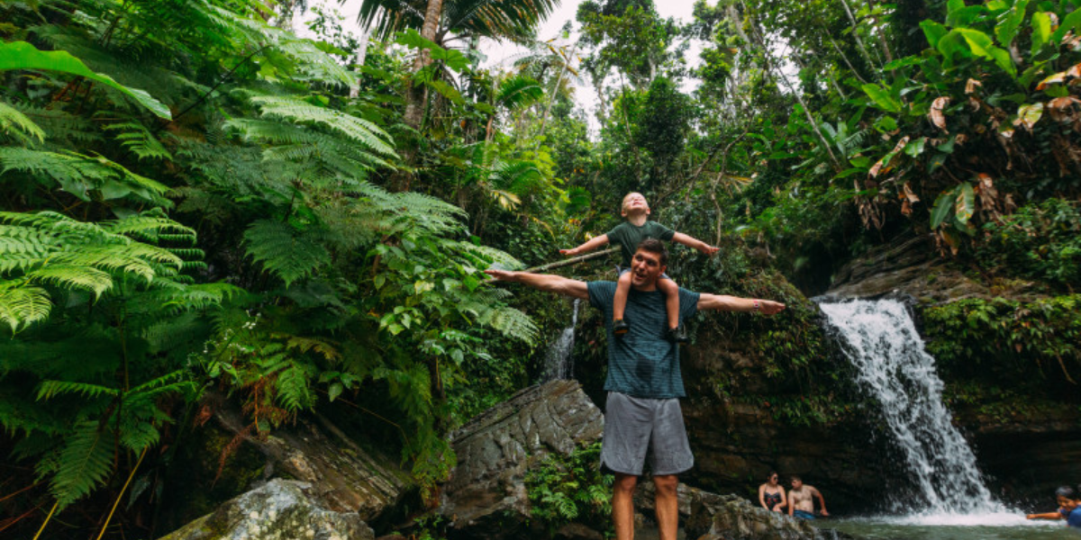 interesting animals in el yunque