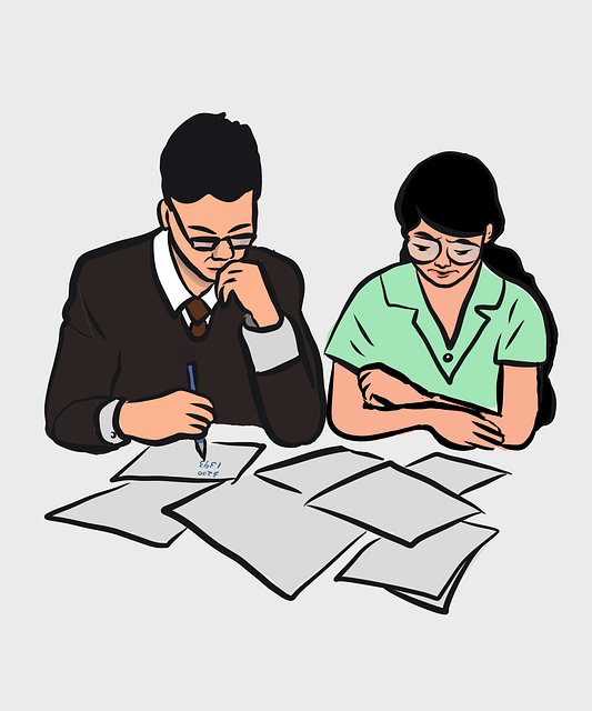 import paper visa application into immiaccount, visa applications lodged