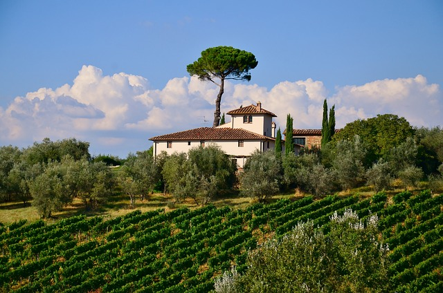 Tuscany villa with panoramic view