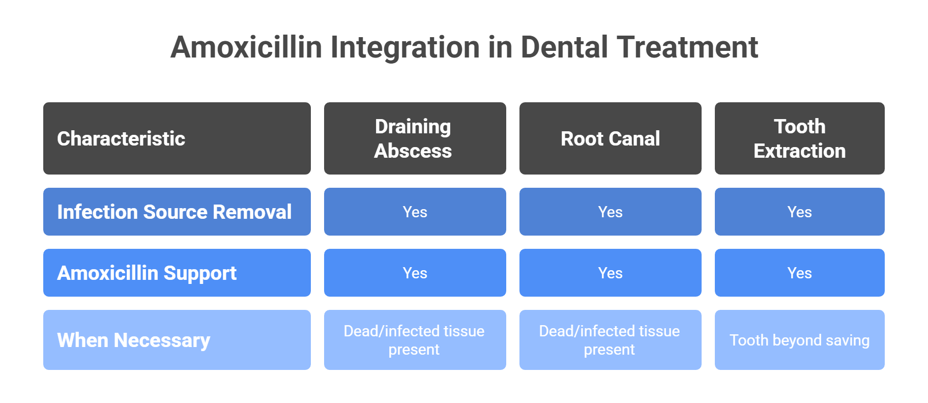 Integrating Amoxicillin into Dental Treatment Plans