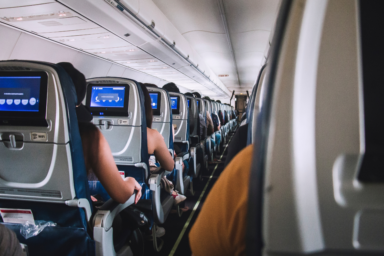passengers seated inside flight