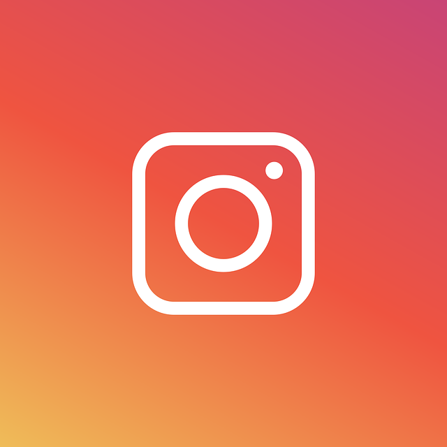 instagram, logo, icon, social media, social media sites, social media platforms, social media site, social networking, parent company, online interaction, content noun, internet, anglo french, past participle, example, website, media, network, platforms