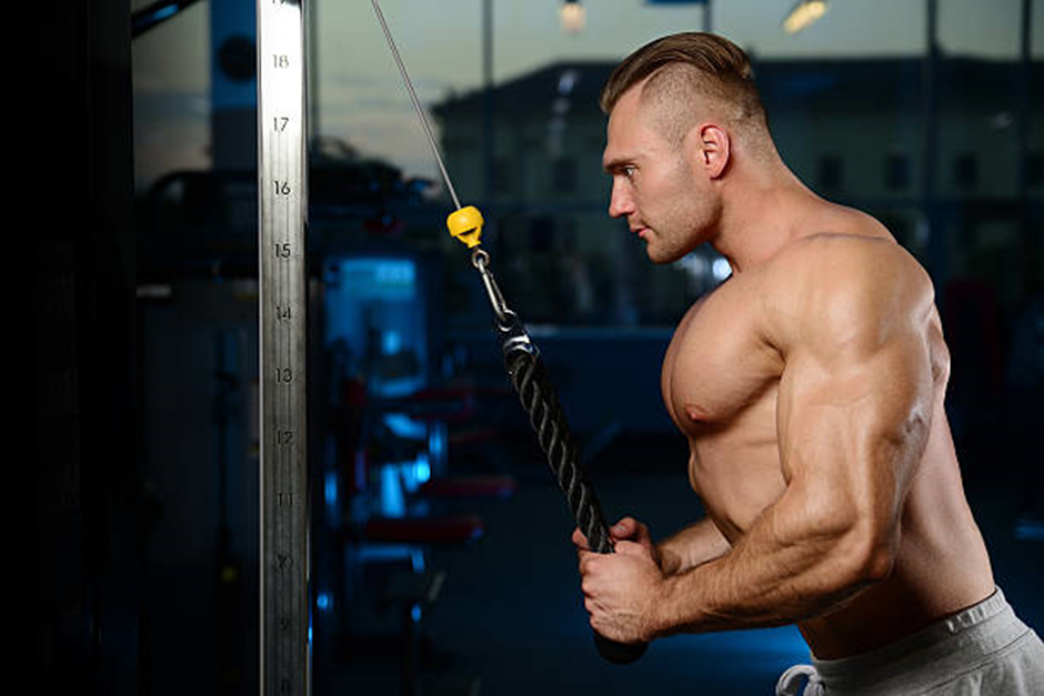 head of the triceps