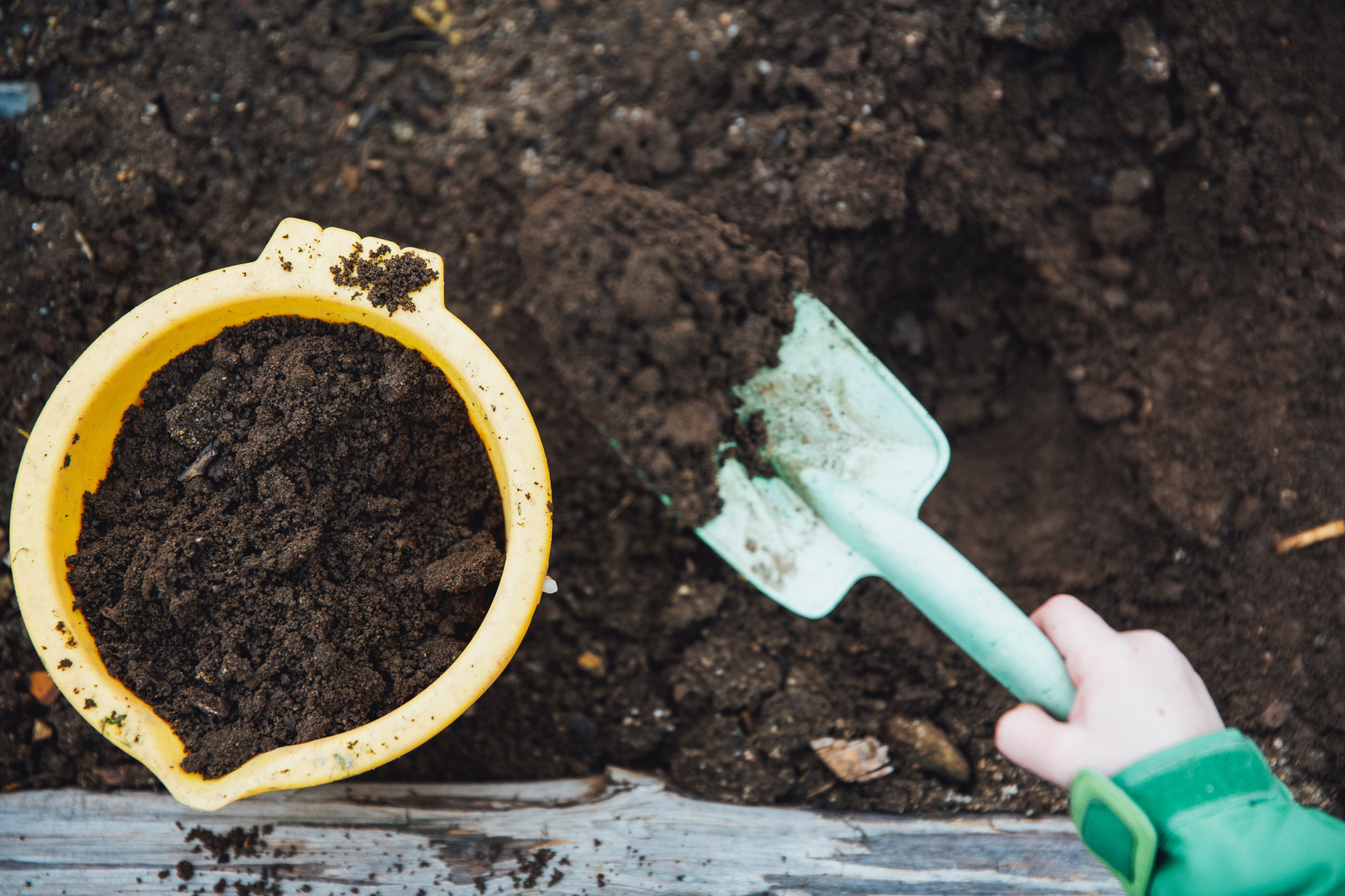 Types of Compost for Flower Beds