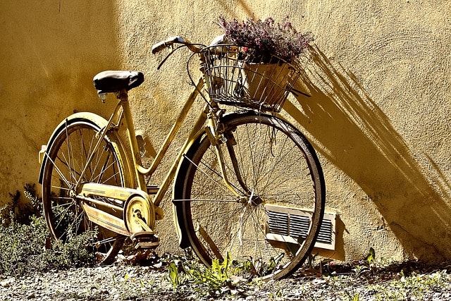 bike, flower wallpaper, bicycle