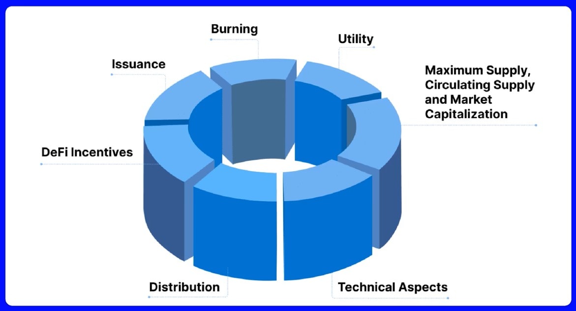 A pie chart representing the different types of tokenomics. 