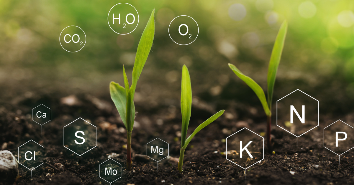 Components of Organic Fertilizers