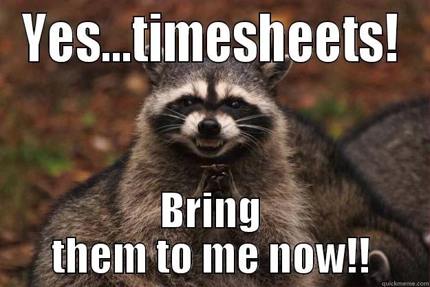 Evil raccoon timesheet meme gleefully collecting completed timesheets. Funny meme showing manager's excitement when the tracking process is finally complete.