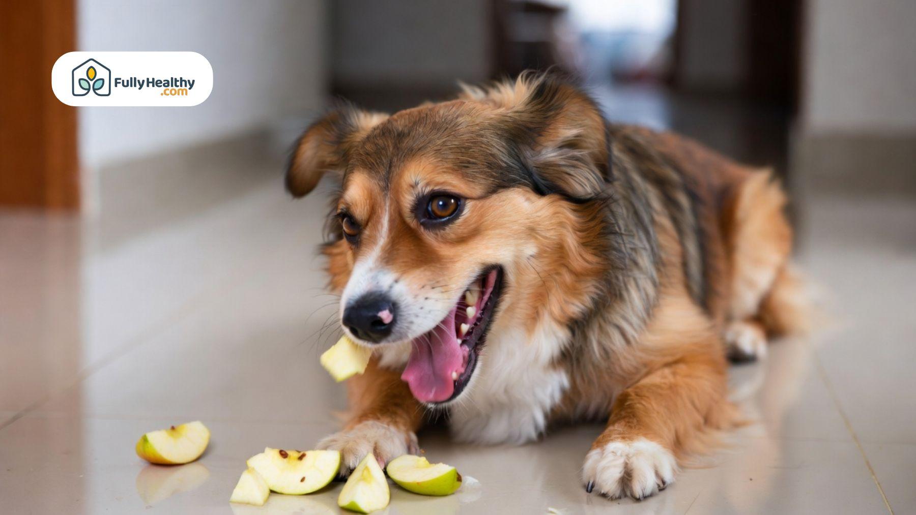 Dog eating apple pieces on floor with scattered apple slices.
