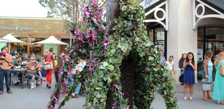 The Living Vines