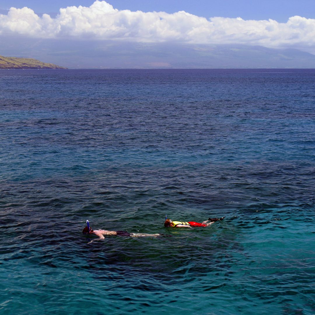 People snorkeling in the crystal clear waters of the Big Island