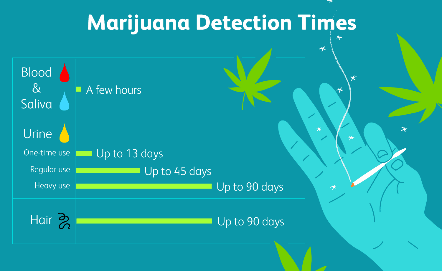 Marijuana Detection Times