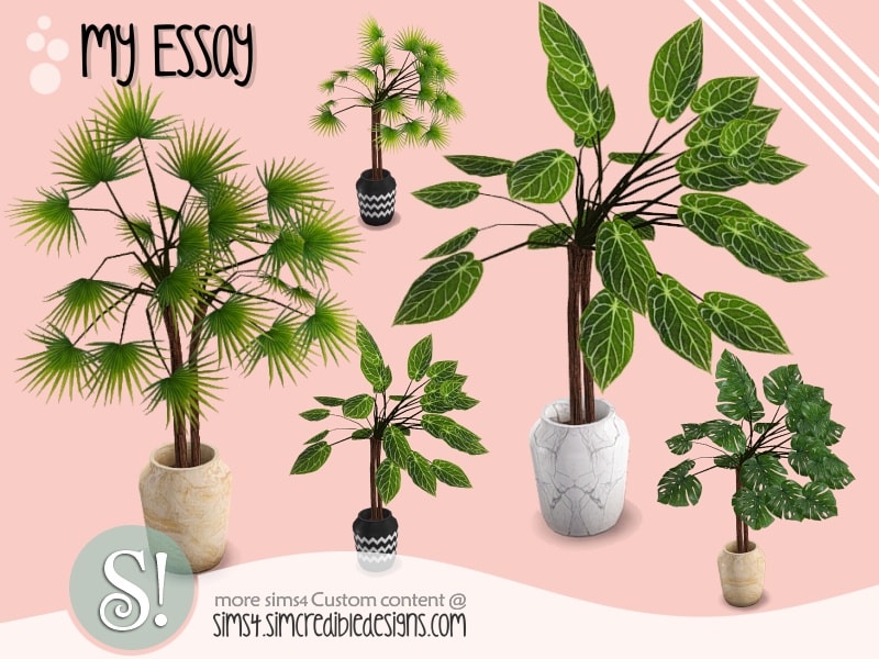 My Essay Plant
