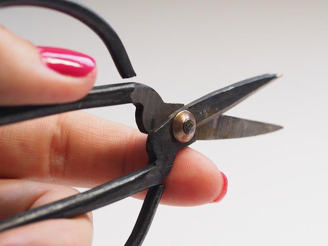 craft ideas