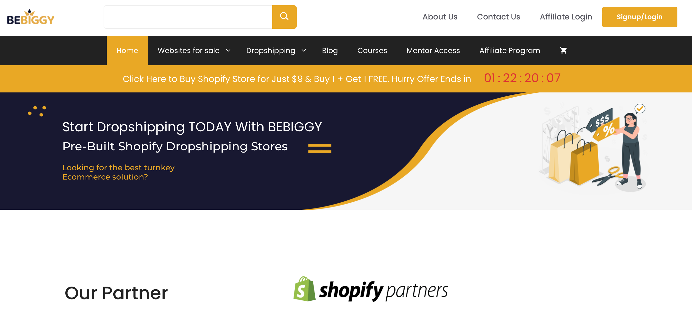 pre built shopify store - bebiggy