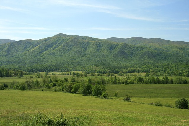 tennessee, smoky mountains, landscape