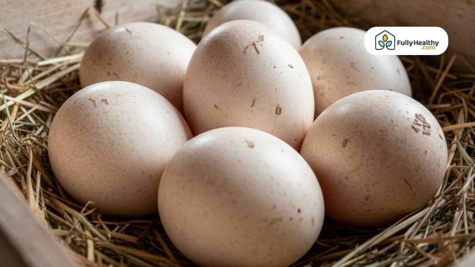 Turkey eggs resting on straw inside a nest, showing large size and thick shells.