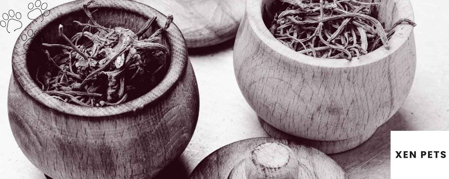 valerian root in calming dog treats