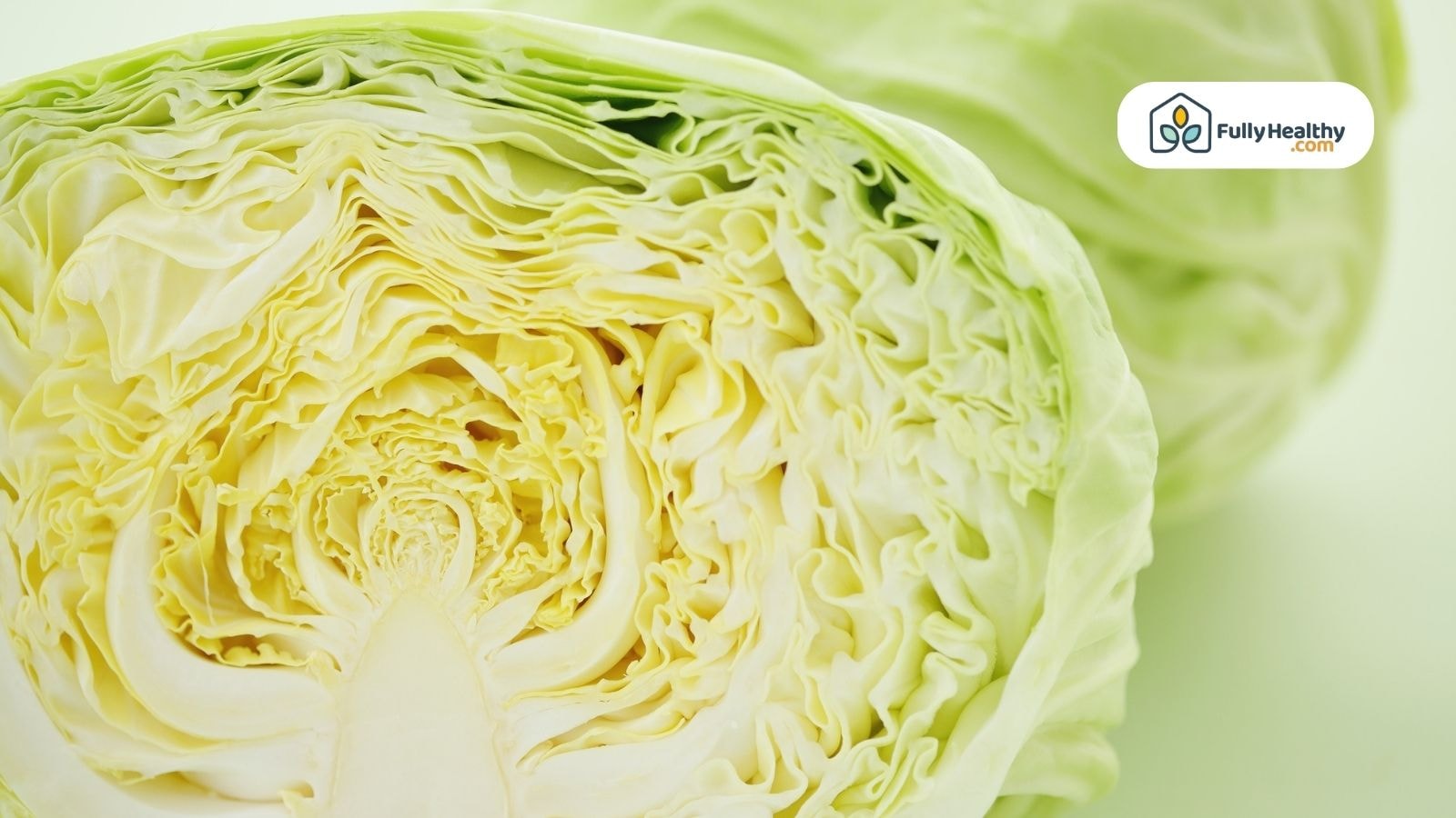 Close-up view of halved cabbage showing detailed layers