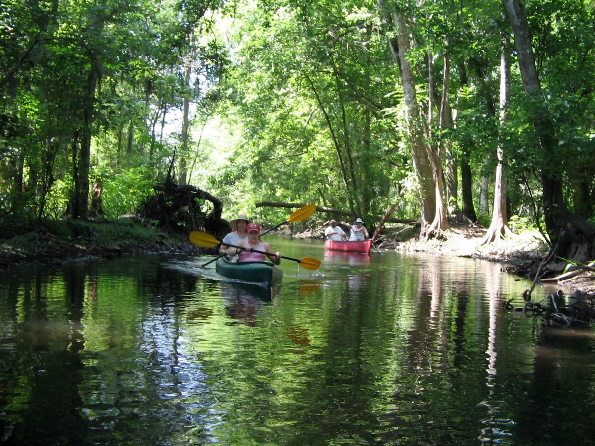 Kayaking Hillsborough River