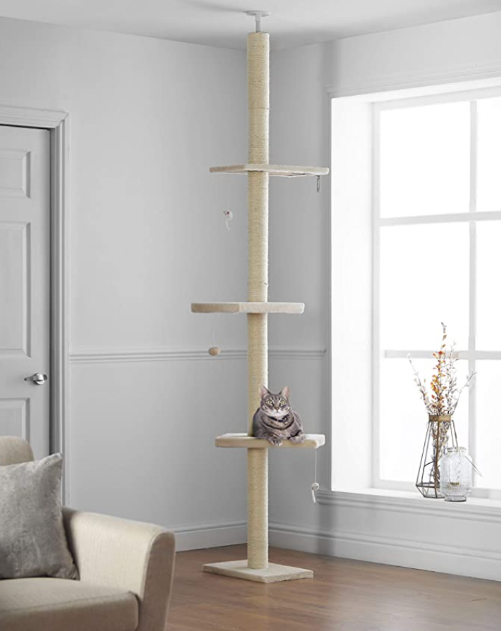 Pippa & Max's floor-to-ceiling cat tree