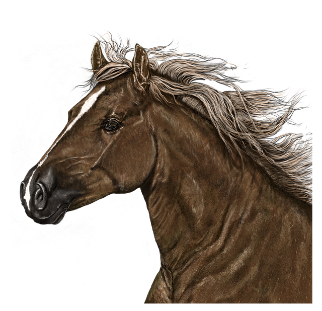 portrait, horse, art