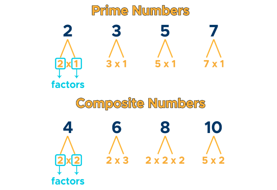 prime and composite numbers