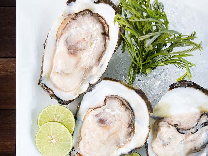 Image of half-shell oysters, related to the flavorful world of oyster farming.